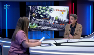 Martin van der Belen - Les Orangeries de Bierbais