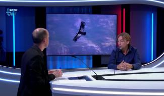 Julien Lesceux - Le Condor, l'oeil du monde