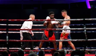 Boxe : 2000 personnes pour la 3e édition de la "LLN Boxing Night"