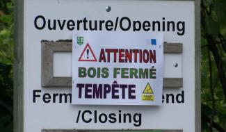 Tempête Benjamin : point et conseils