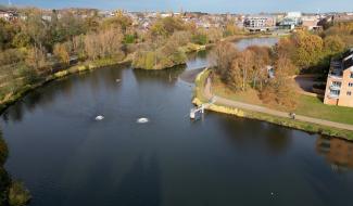 Le lac de Louvain-la-Neuve vidé pour assainir et booster sa biodiversité