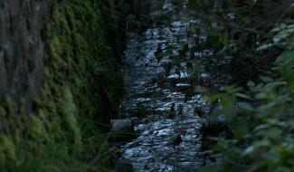 Pollution aux hydrocarbures à Tourinnes-La-Grosse