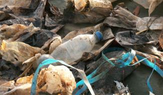 Pollution des cours d'eau : Aer Aqua Terra dresse le bilan 2025