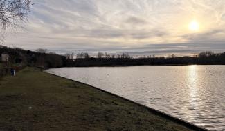 Suspicion de grippe aviaire à l’étang de Pécrot : l’accès temporairement interdit