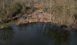 Grippe aviaire confirmée à l’étang de Pécrot : l’accès interdit durant 1 mois