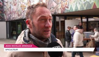 Le frelon asiatique, comment et quand lutter ?