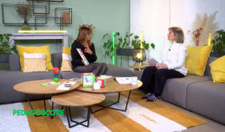 Pedagoscope - La metacognition