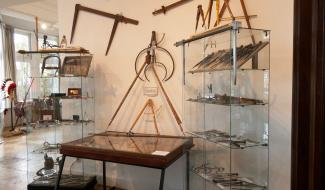 Exposition Collections Insolites, plongez dans un univers étonnant