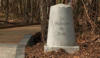 Ohain : Un cimetière plus grand, plus naturel aussi