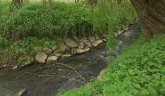 Avoir une rivière dans son jardin, c’est devenir gardien de l’eau