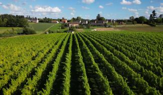 Brabant wallon Millésime #3 Le Coteaux des Avelines