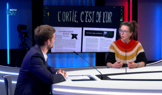 L'invité dans l'actu - Mahaut Piavaux - Co-organisatrice de la Fête de l'Ortie à Rebecq