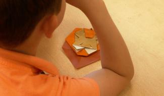 Braine-l'Alleud : un cours d'origami pour les 200 ans du Lion de Waterloo