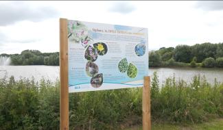 Parc du Paradis : six panneaux pour mieux découvrir la biodiversité à Braine-l'Alleud
