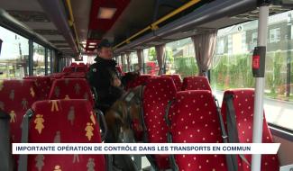 Transports en commun : opération de contrôle d'envergure dans tout le Brabant wallon