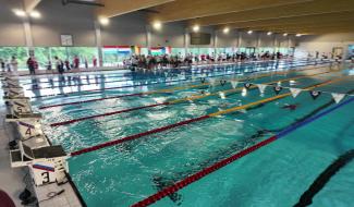 Natation : un meeting international organisé dans à la piscine du Blocry