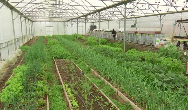 Le label Clé verte décerné à Indrani Lodge