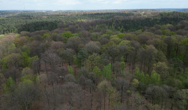 Une convention pour mieux préserver le Bois de Merode