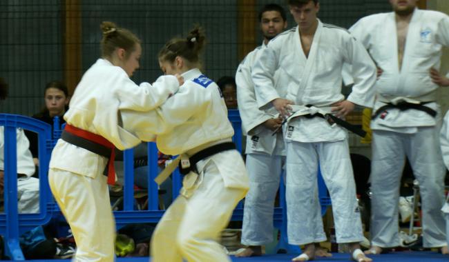 Judo : Plus de 600 judokas pour la 19e édition de l'Open internationale du Tori