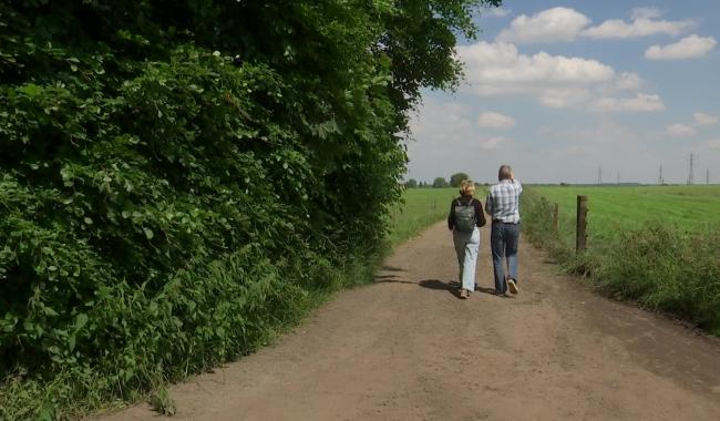 12 balades pédestres balisées pour découvrir les beaux coins d'Ottignies-LLN