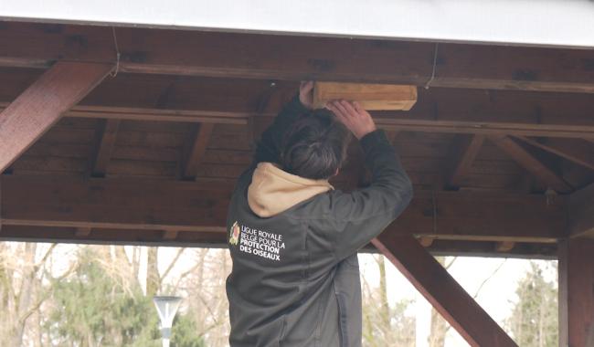 À Mont-Saint-Guibert, 45 nichoirs pour donner un avenir aux oiseaux