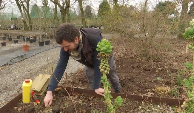 Retour des beaux jours : quelques conseils pour préparer son jardin