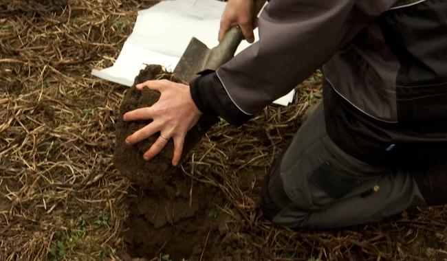Un nouvel outil pour évaluer la qualité de votre sol