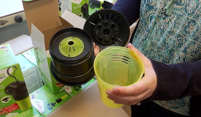 Des pièges à frelons asiatiques gratuits pour les Gréziens