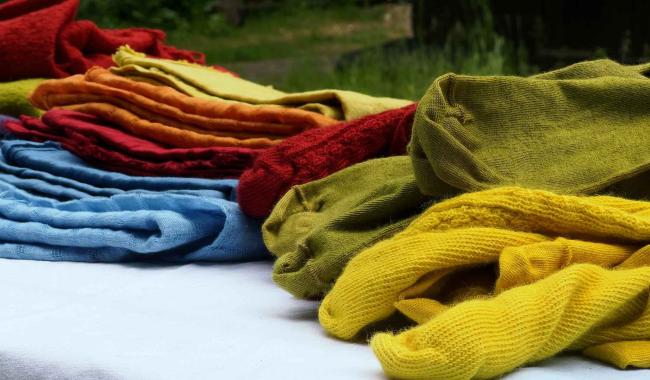 Rencontre avec Gabriel Beaulieu, jardinier teinturier