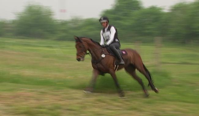 Équitation : Troisième édition du concours complet international aux Écuries du Maret