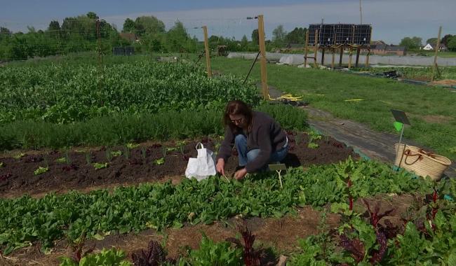 Filons Vert cherche encore quelques abonnés !