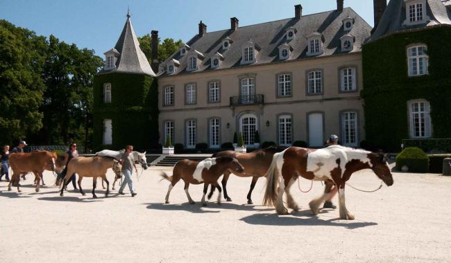Rênes de la Vie : Une parenthèse équestre pour les patients du cancer