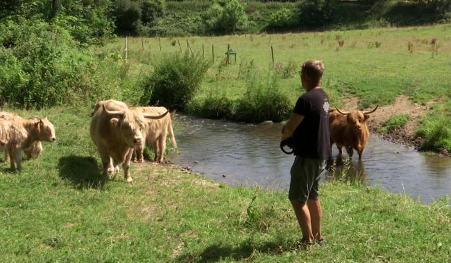 Journées fermes ouvertes, venez découvrir la ferme de la Tour