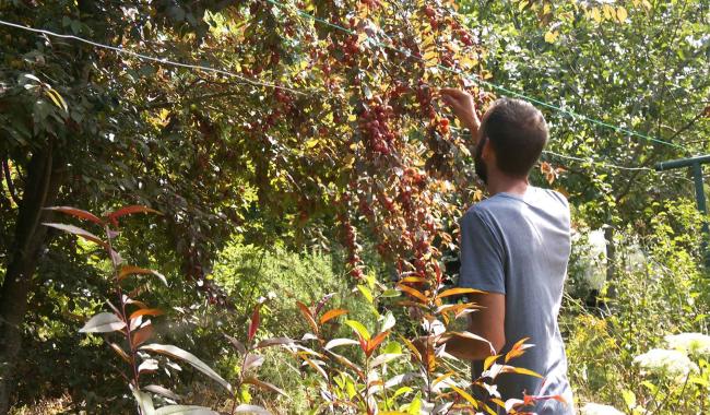 À Jodoigne, le potager du Gailleroux s'agrandit !