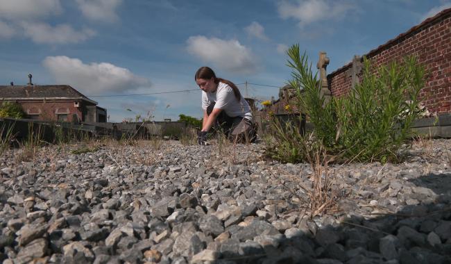 Été solidaire : Les jeunes nettoient le cimetière de Baisy-Thy