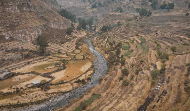 Emission spéciale : Le Condor, l'oeil du monde