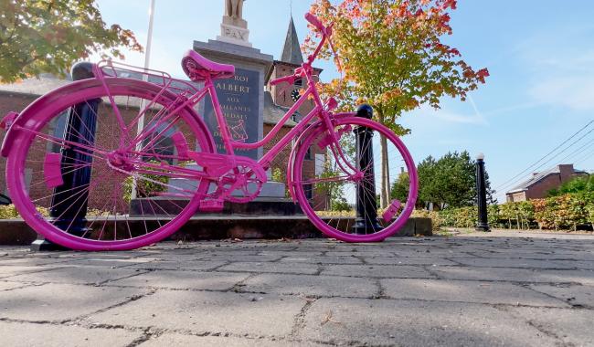 Mont-Saint-Guibert : octobre rose, ville rose