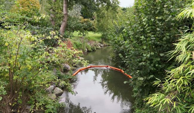 Des “OFNI” dans les rivières de Court-Saint-Étienne pour sensibiliser à la pollution