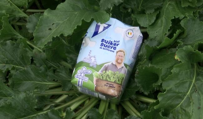 Nicolas Spirlets, betteravier de Jandrain, devient le visage du sucre belge