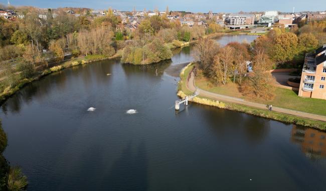 Le lac de Louvain-la-Neuve vidé pour assainir et booster sa biodiversité