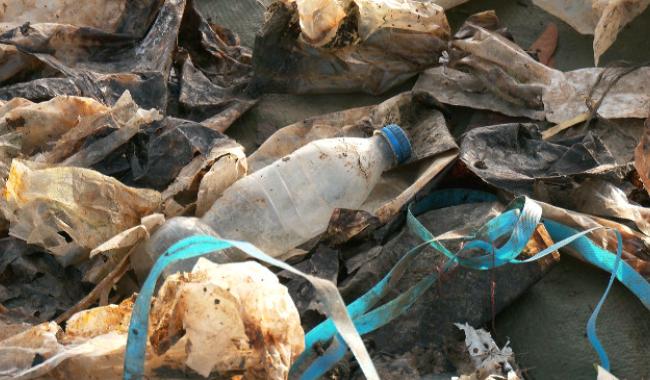 Pollution des cours d'eau : Aer Aqua Terra dresse le bilan 2025