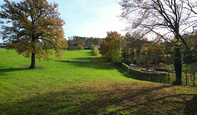 Brab' en Nature #12 : La cabane et la drink du Grand Chêne