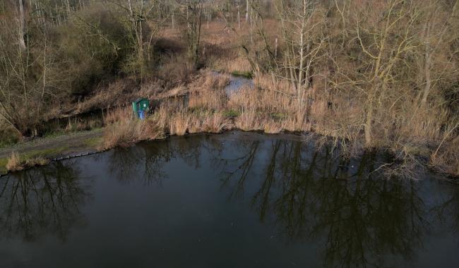 Grippe aviaire confirmée à l’étang de Pécrot : l’accès interdit durant 1 mois