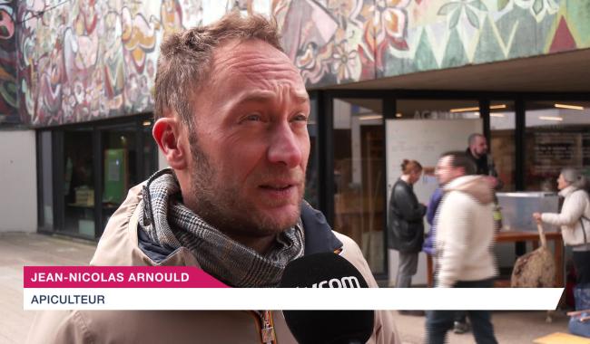 Le frelon asiatique, comment et quand lutter ?