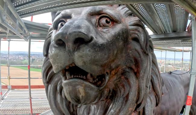 Butte du lion : l'animal nous dévoile ses entrailles