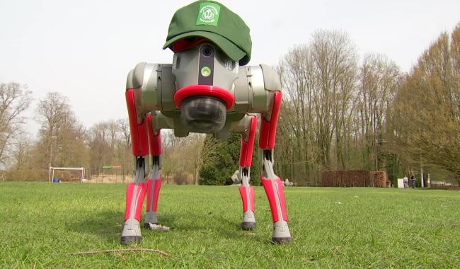 Tracacrotte, le robot qui traque les maîtres négligents