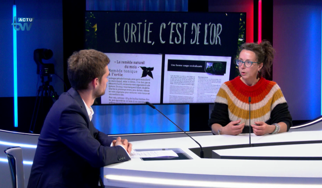 L'invité dans l'actu - Mahaut Piavaux - Co-organisatrice de la Fête de l'Ortie à Rebecq