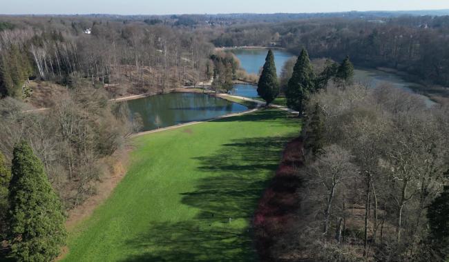 La biodiversité de la forêt de Soignes passée au crible