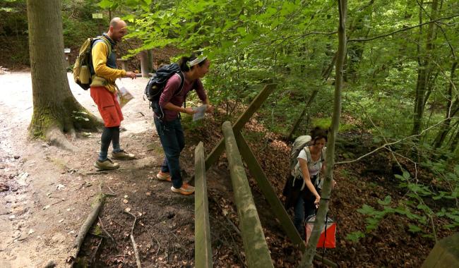 Louvain-la-Neuve : course d'orientation au Bois des Rêves