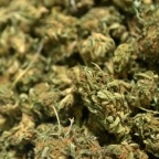 233.000 euros et 30 kg de cannabis saisis en Brabant wallon